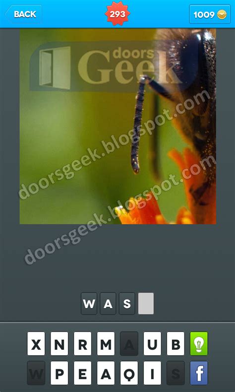 Zoomed In Photo Word Game Level 293 ~ Doors Geek