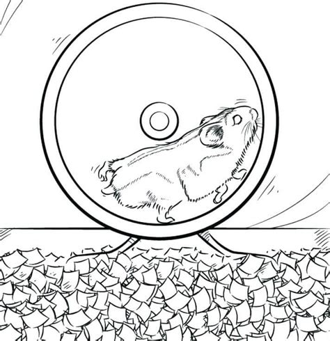 Desenhos De Hamster Para Colorir Pintar E Imprimir Colorironline Com