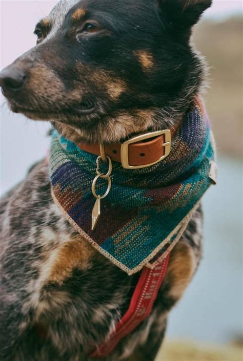 Waterproof Dog Collar in Cedar Brown | Etsy