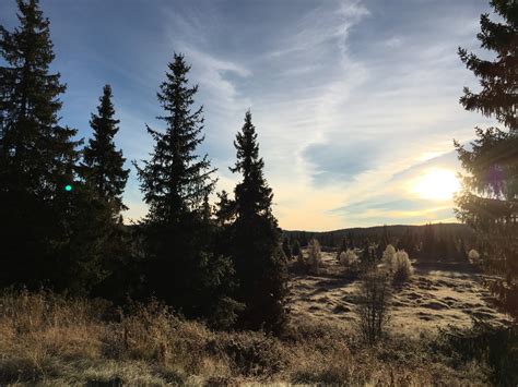 Free Images Landscape Tree Forest Grass Wilderness Cloud Sky