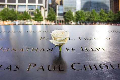 The White Rose Signifies Remembrance Of 911 Victims Birthdays Rpics