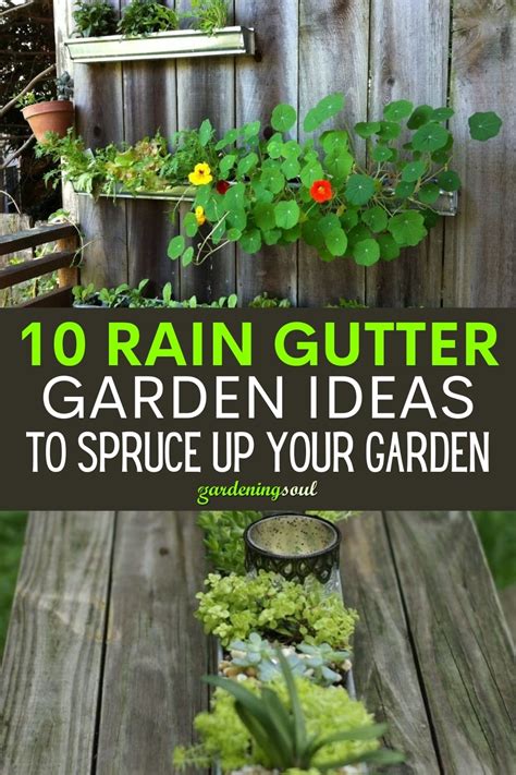 10 Rain Gutter Garden Ideas Gardening Soul
