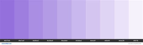 √ Purple Hex Color