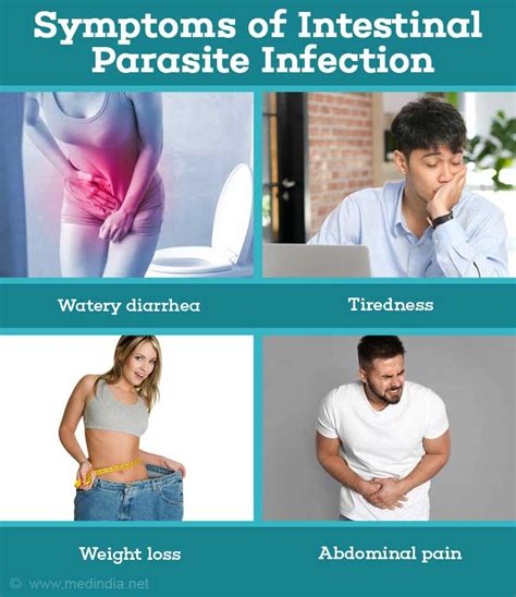 Intestinal Parasite Infection Types Causes Symptoms Diagnosis
