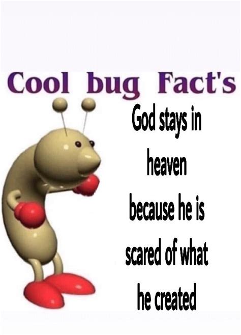 Cool Bug Facts 12 Rcoolbugfacts
