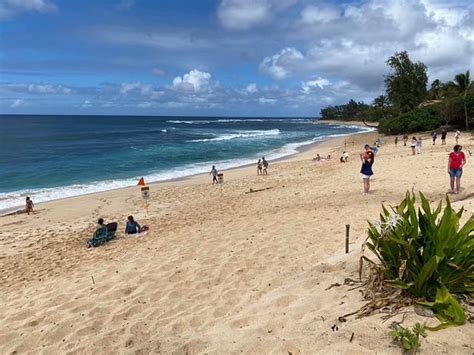 Sunset Beach Park Haleiwa All You Need To Know Before You Go