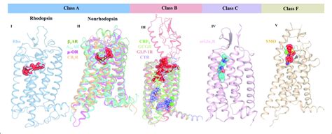 Crystal Structures Of Representative Gpcr Ligand Complexes From