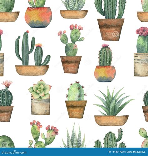 Watercolor Seamless Pattern Of Cacti And Succulent Plants Isolated On