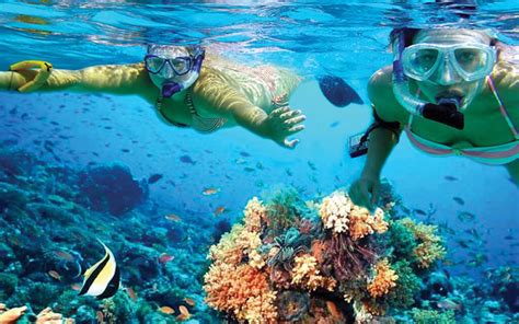 Cancun Snorkeling Tour Snorkel The Mesoamerican Barrier Reef System