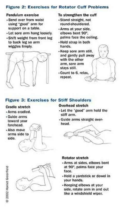 43 Best Images About Rotator Cuff Exercises On Pinterest