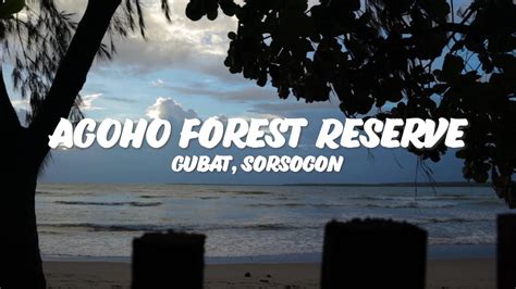 Exploring Agoho Forest Reserve Gubat Sorsogon House Caraan Youtube