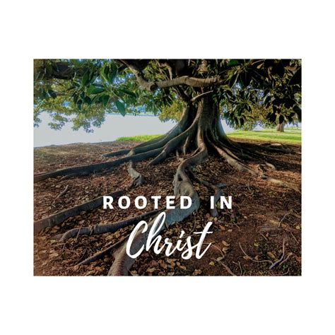 Rooted In Christ The Fount