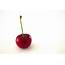 Single Red Cherry Free Stock Photo  Public Domain Pictures