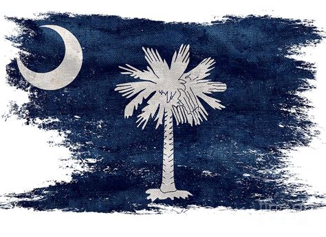 Distressed South Carolina Flag Photograph By Jon Neidert Pixels