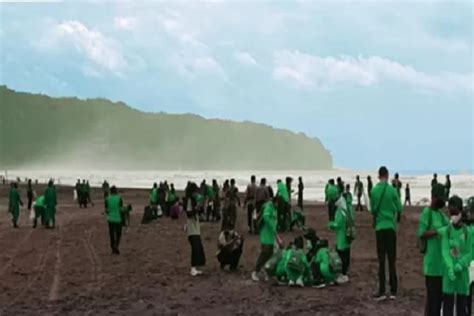 Penjelasan Ilmiah Dibalik Mitos Larangan Memakai Baju Hijau Di Pantai
