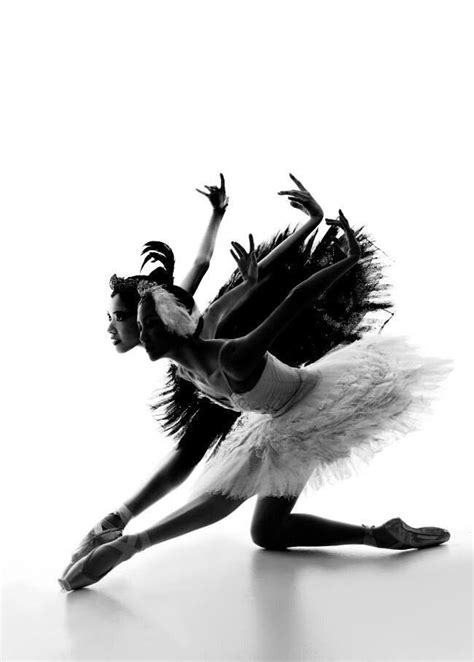 Ballet Art Ballet Dancers Ballerinas Ballet Body Dance Photos