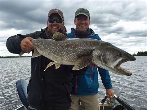 Fishing is allowed either from boats on the water or from any public portion of the shoreline. Fishing Testimonials | Webber's Lodges