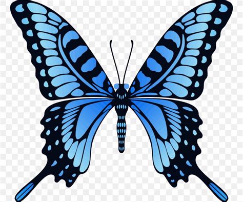 Butterfly  Animation Image Desktop Wallpaper Png 1200x1000px