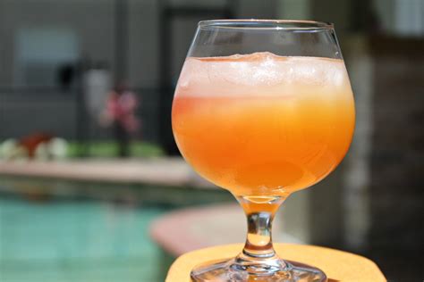 Adding fruit to the pitcher is a nice touch for garnish, . Summer Sunset Cocktail | Florida Sunset Cocktail | Vodka ...