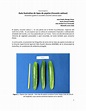 (PDF) Guía ilustrativa de tipos de pepino (Cucumis sativus)