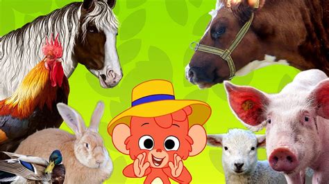 Learn Farm Animals Names And Sounds Real Farm Animal Video For