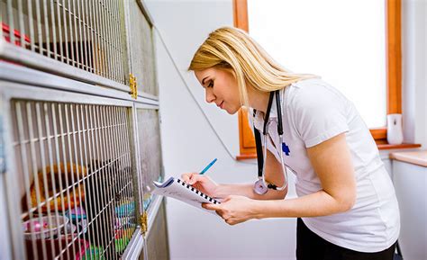 How to write a veterinary assistant job description. Become a Veterinary Assistant | Online Course by ed2go
