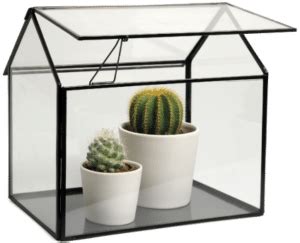 We did not find results for: Schöne Geschenke für den Garten - Geschenk für Opa.de