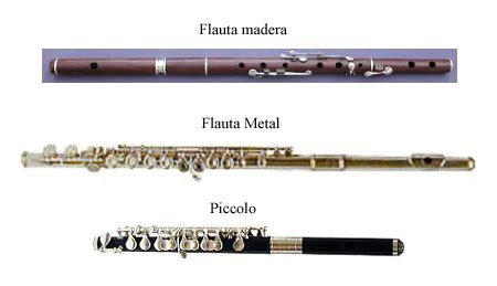 Conservatorio de Música de Carabobo - CMC va a tu casa