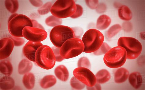 Microscopic View Of Blood Cells Stock Photo Dissolve