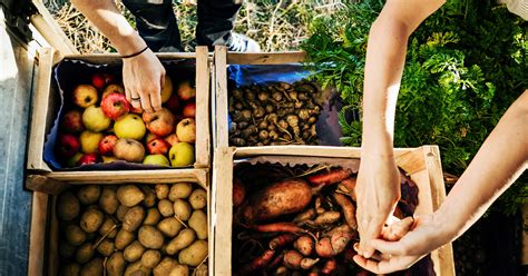 How To Get Fresh Produce Delivered To Your Door — While Supporting