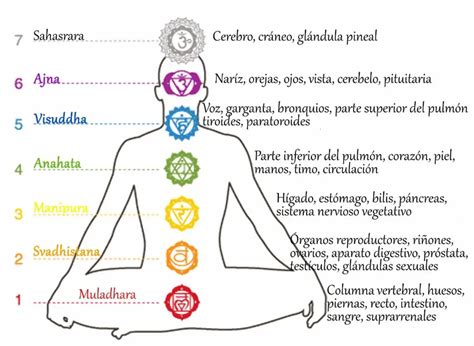 Alineación De Chakras ¿qué Es ¿para Qué Sirve Beneficios Y Más