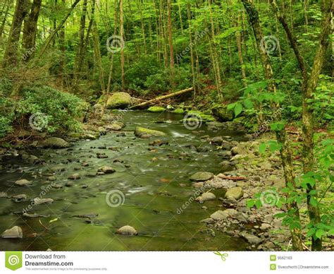 An autobiographical feature film by and with uje brandelius, directed by feature debutant henrik schyffert. Pennsylvania Forest Stream In Spring Stock Photos - Image ...