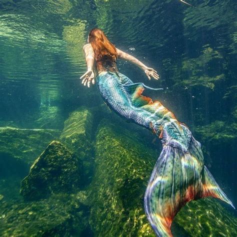 image about aesthetic in lover of the sea by 𝐧𝐨 𝐧𝐚𝐦𝐞 𝐬 𝐝𝐢𝐚𝐫𝐲 mermaid pictures realistic
