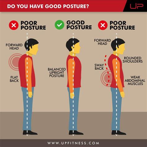How To Fix Your Posture With Strength Training Up Fitness