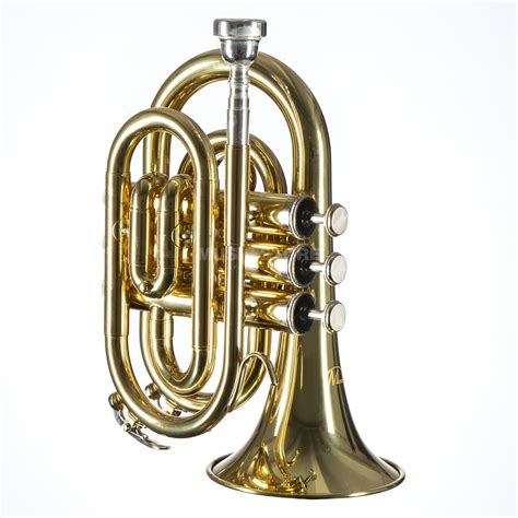 Brass Instruments For Kids Music Store Professional