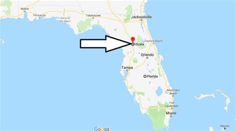 Map Of Florida Showing Ocala Map Vector