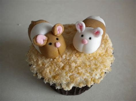 Hamster Cupcakes Animal Birthday Cakes Cake Decorating With Fondant