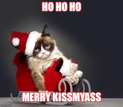 Grumpy Cat Christmas Hd Imgflip