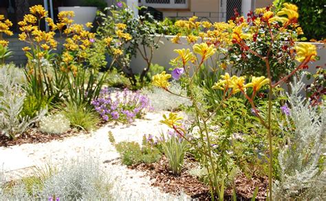 Garden Design And Planting Perth Softscapes Revive Landscaping