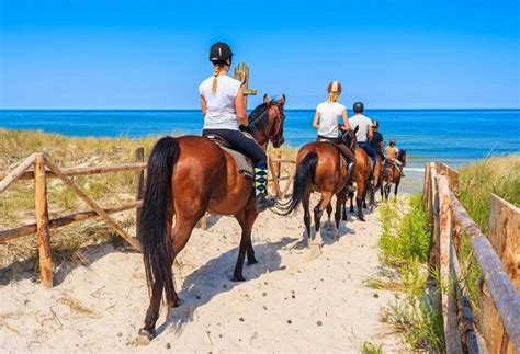 10 Best Beaches For Horseback Riding In The United States