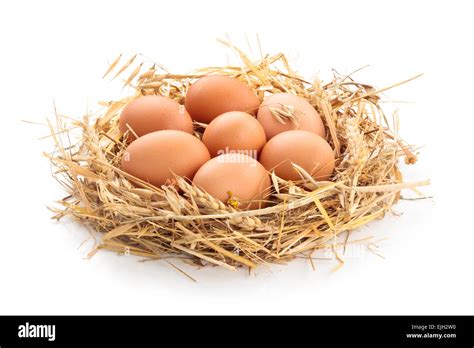 Chicken Eggs In Nest Of Straw Stock Photo Alamy