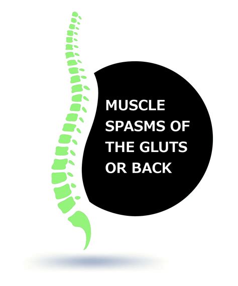 Muscle Spasms Of Buttocks Or Back North Lakes Chiropractic