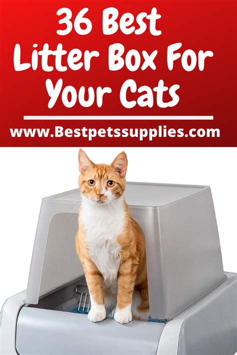 Here Are The Some Of The Top Rated 36 Best Cat Litter Box