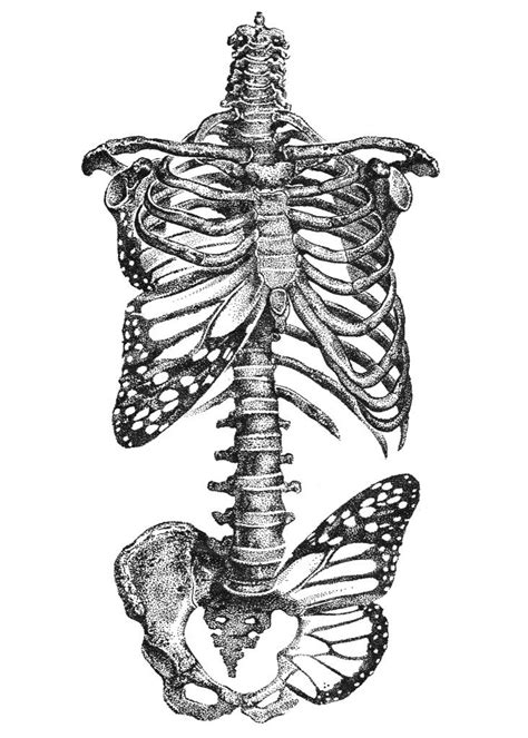 Rib Cage Tumblr Coloring Pages