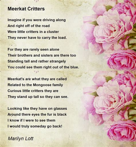 Meerkat Critters Poem By Marilyn Lott Poem Hunter