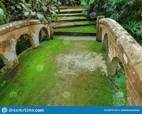 A Moss Covered Bridge In The Rainy Season Stock Image Image Of Garden