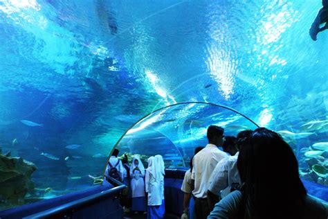 Book your tickets & tours of aquaria klcc at best price only on thrillophilia. Aquaria Klcc - One of the Top Attractions in Kuala Lumpur ...