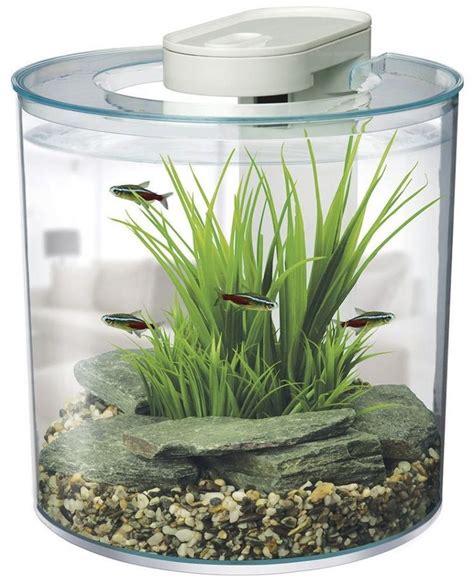 Best Betta Fish Tanks Best Home For Your Betta Small Fish Tanks