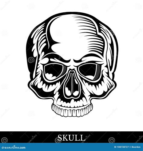 Black Human Skull Front View Without A Lower Jaw Isolated Stock Vector