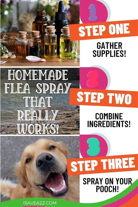 Homemade Homemade Flea Spray For Dogs Chemical Free